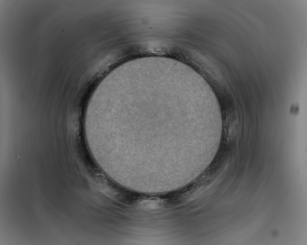 X0000101430595200808041153