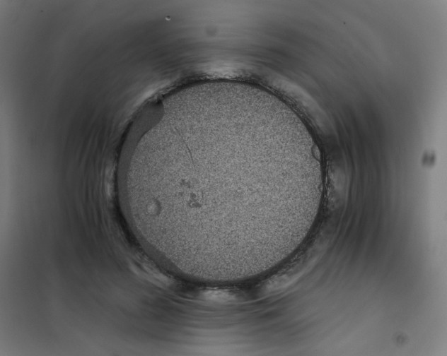 X0000101430596200808041153