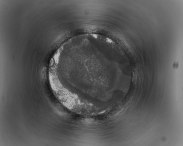 X0000101430598200808041153