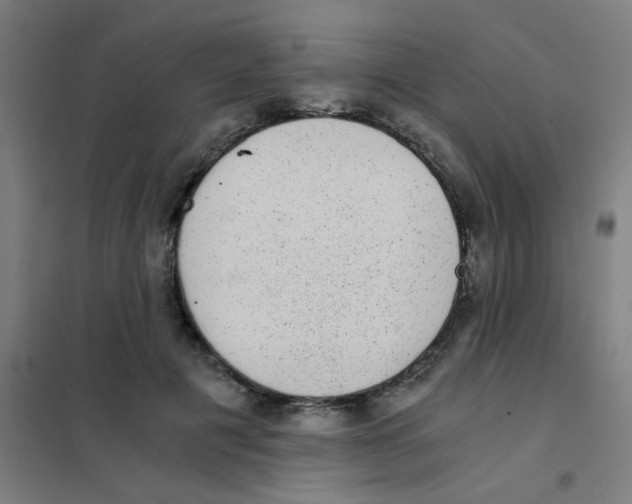 X0000101430601200808041153