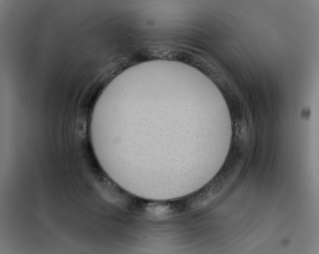 X0000101430602200808041153