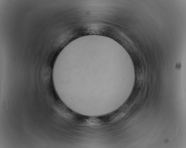 X0000101430603200808041153