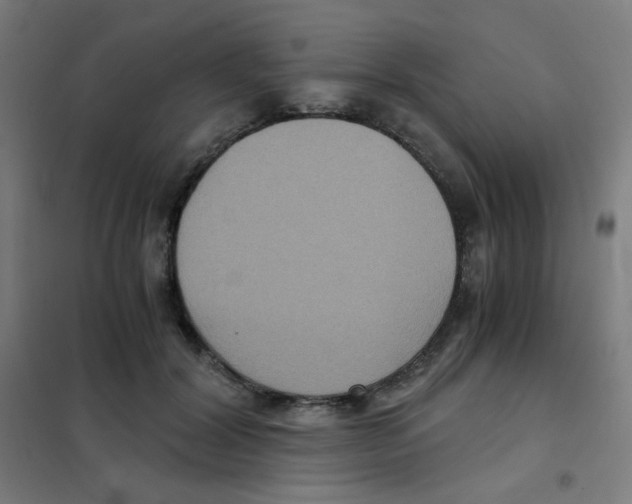 X0000101430604200808041153