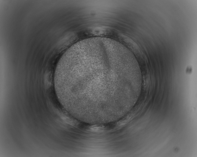 X0000101430606200808041153