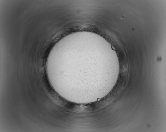 X0000101430607200808041153