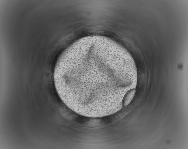 X0000101430609200808041153