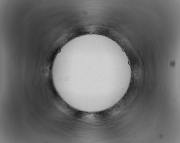 X0000101430611200808041153