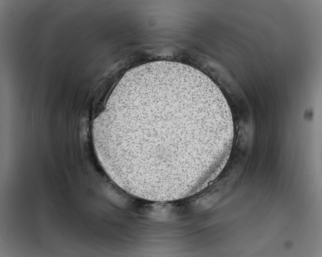 X0000101430612200808041153