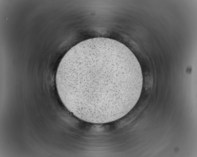 X0000101430613200808041153