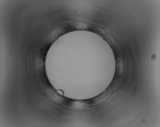 X0000101430614200808041153