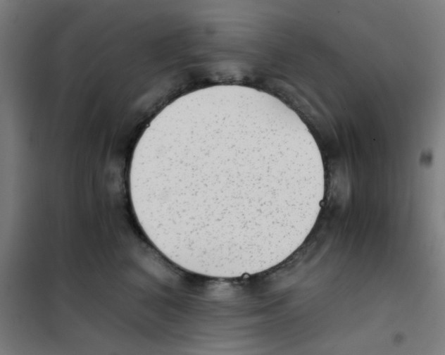 X0000101430616200808041153