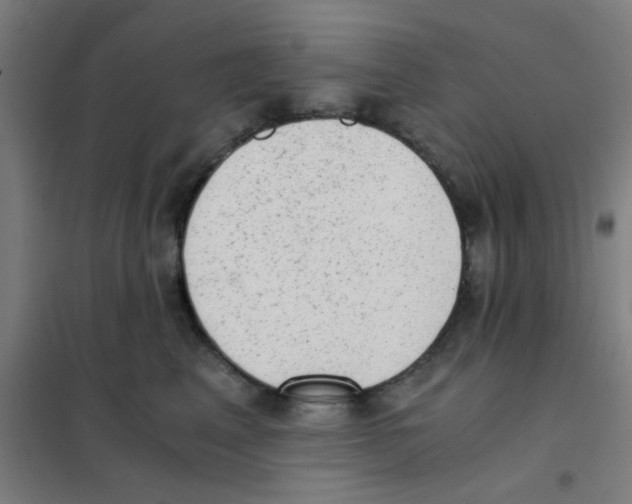 X0000101430617200808041153