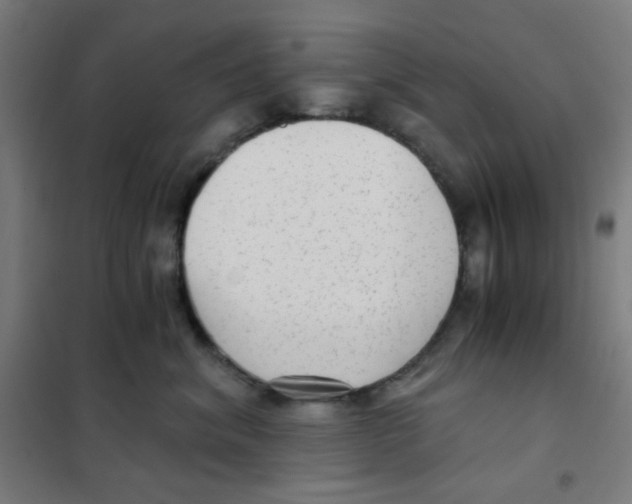 X0000101430620200808041153