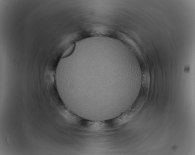 X0000101430621200808041153