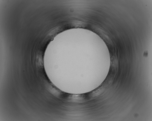 X0000101430622200808041153