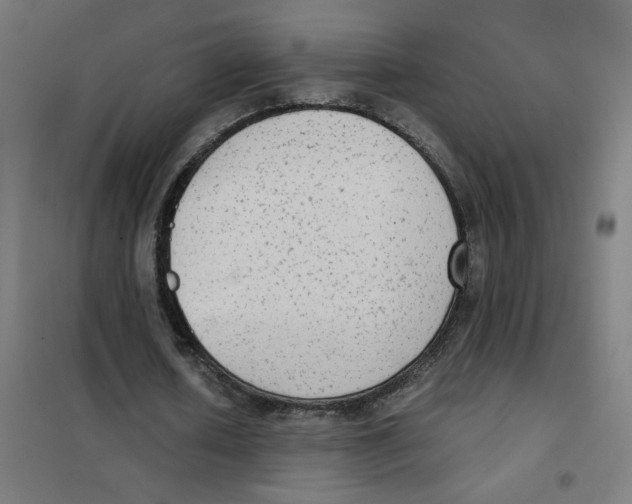 X0000101430626200808041152