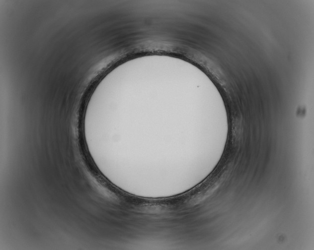 X0000101430629200808041152