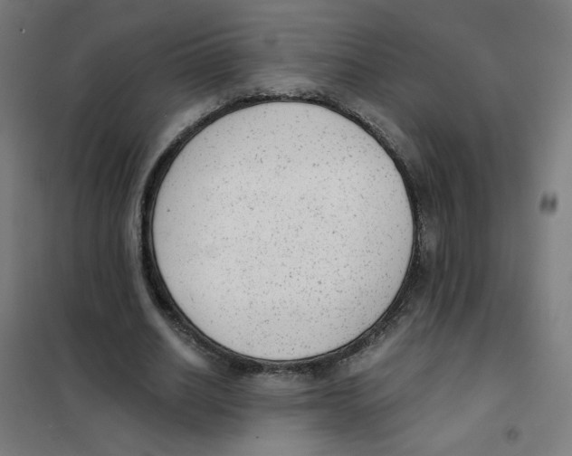 X0000101430630200808041152