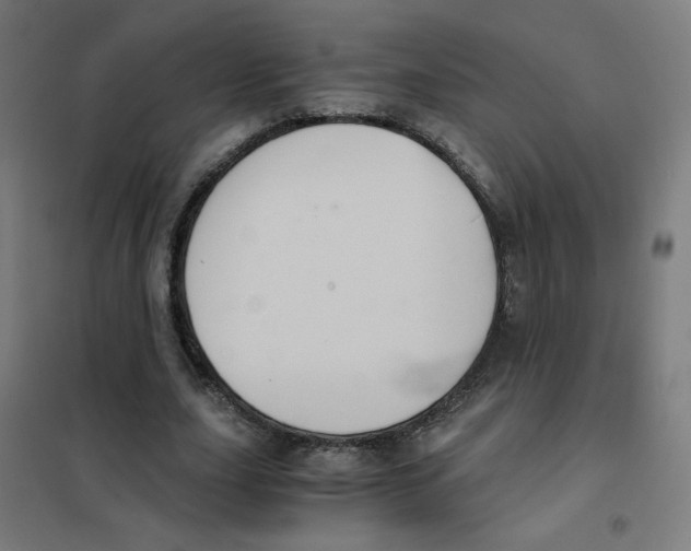 X0000101430631200808041152