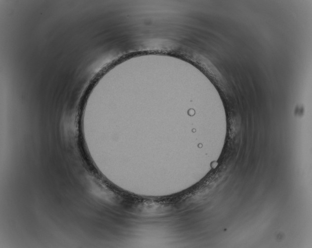 X0000101430632200808041152