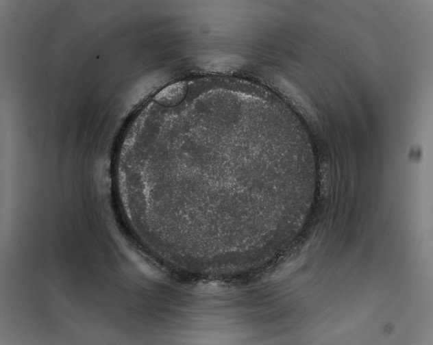 X0000101430634200808041152