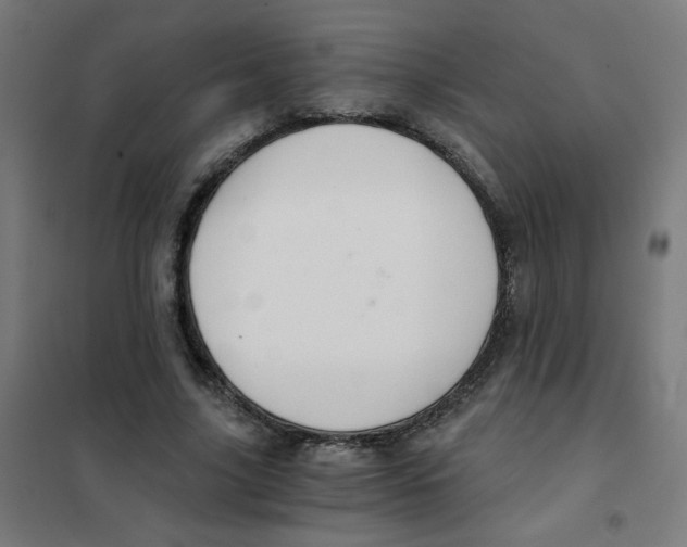 X0000101430635200808041152