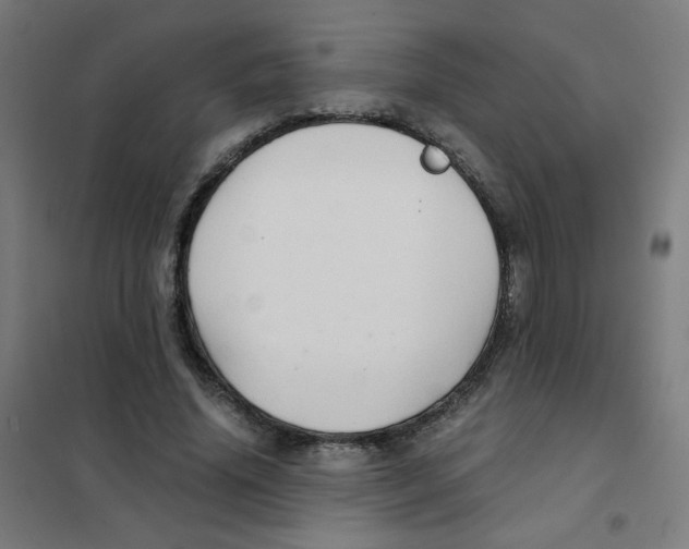 X0000101430636200808041152