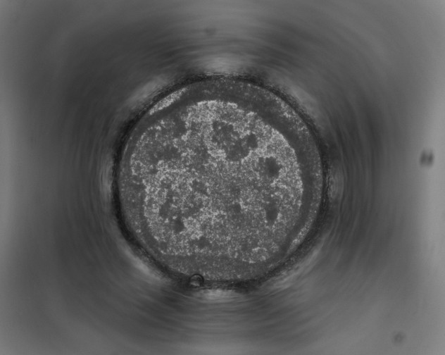 X0000101430637200808041152