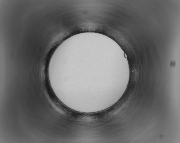 X0000101430638200808041152