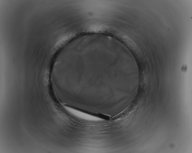 X0000101430640200808041152