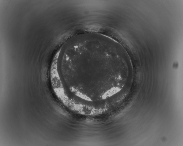 X0000101430641200808041152