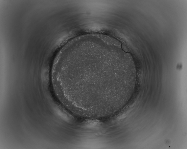 X0000101430642200808041152