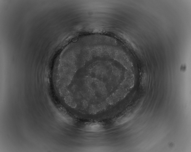 X0000101430643200808041152