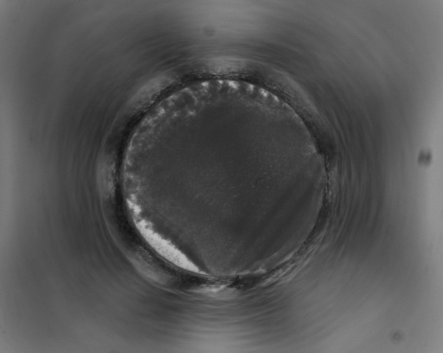 X0000101430644200808041152