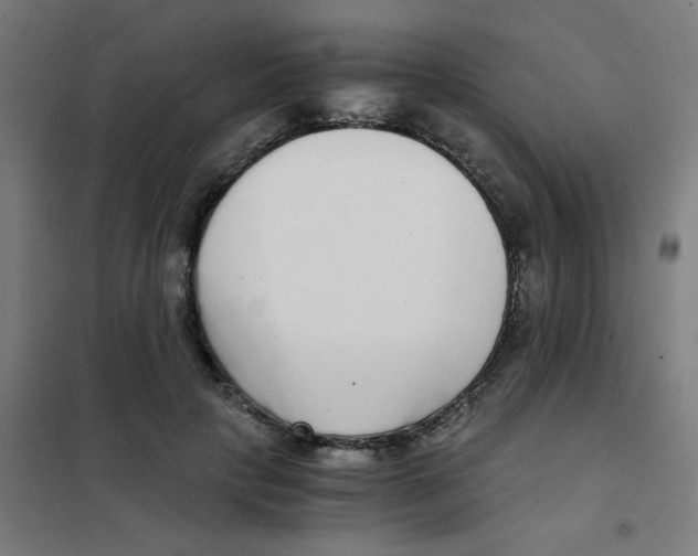 X0000101430649200808041152