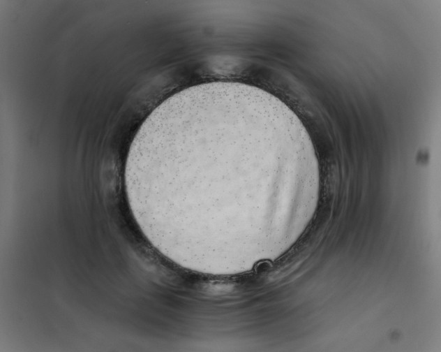 X0000101430651200808041152