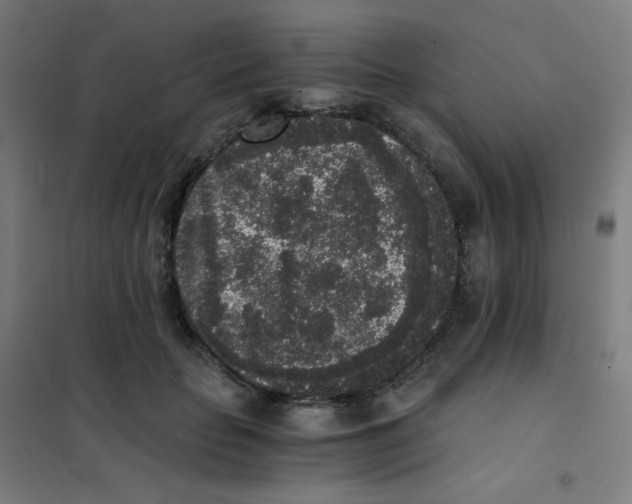 X0000101430653200808041152