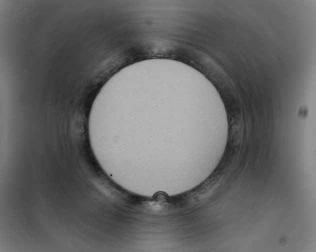 X0000101430654200808041152