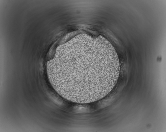 X0000101430655200808041152