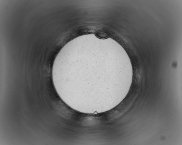 X0000101430657200808041152