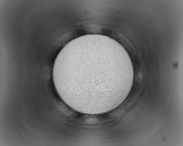 X0000101430658200808041152