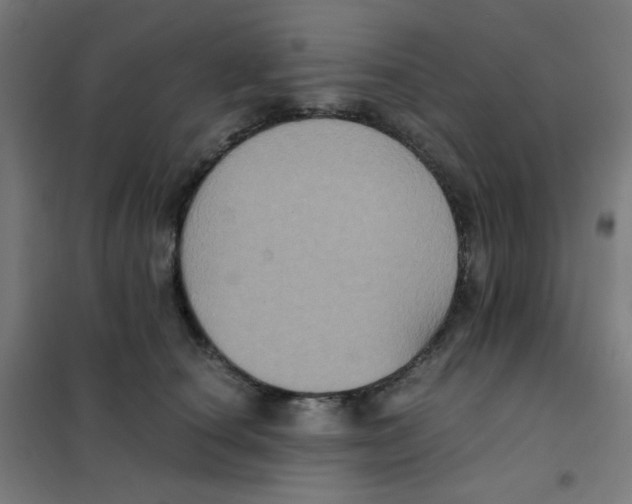 X0000101430660200808041152