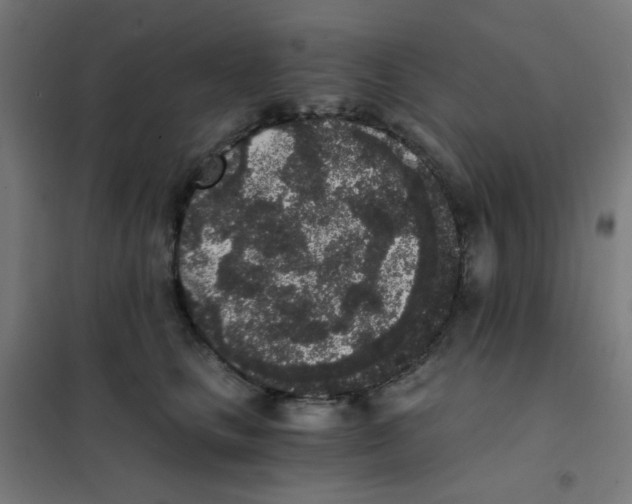 X0000101430661200808041152