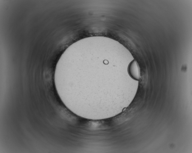 X0000101430662200808041152