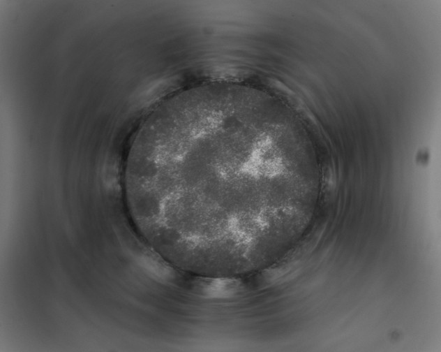 X0000101430663200808041152