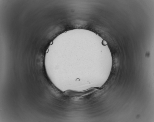 X0000101430664200808041152