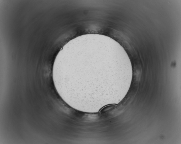 X0000101430665200808041152