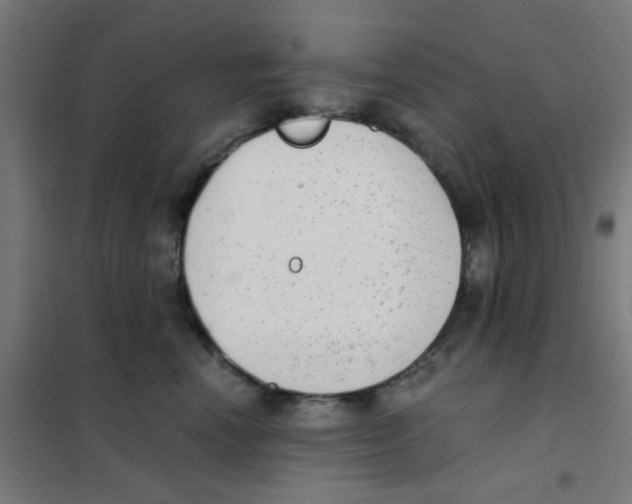 X0000101430666200808041152