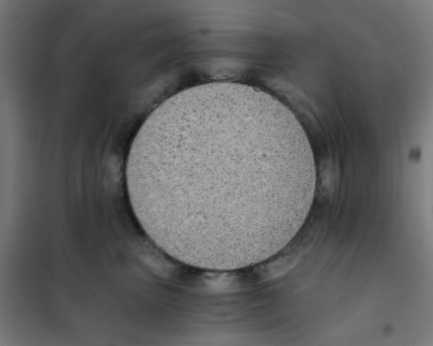 X0000101430667200808041152