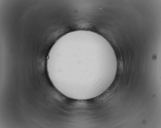 X0000101430668200808041153